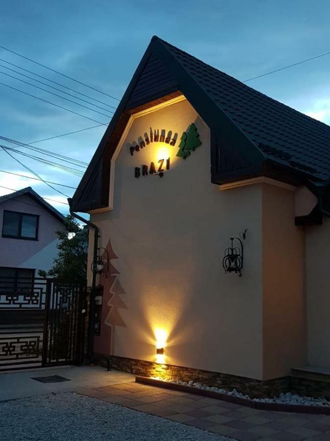 Pensiunea Brazi トゥルダ エクステリア 写真